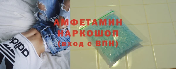 сатива Покачи