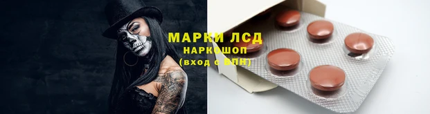 spice Покровск